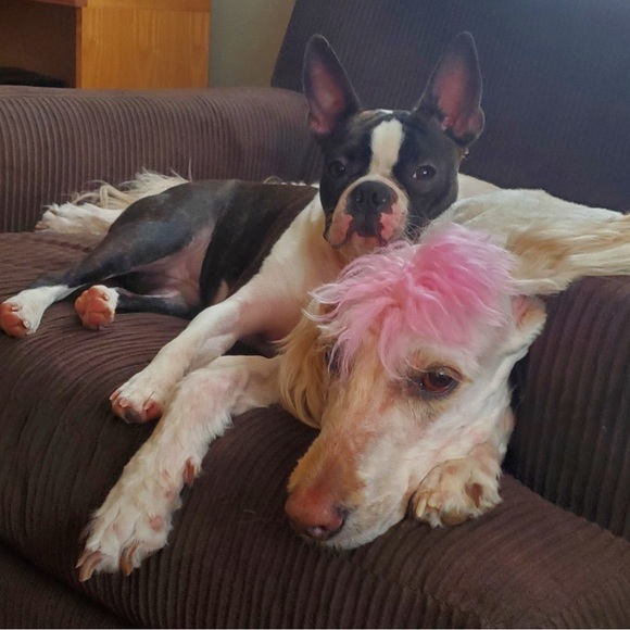 Meet your Posher, Amy - Picture 7 of 16